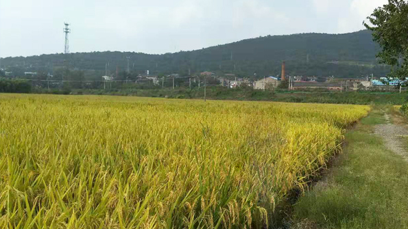 安徽徽商农家福有限公司